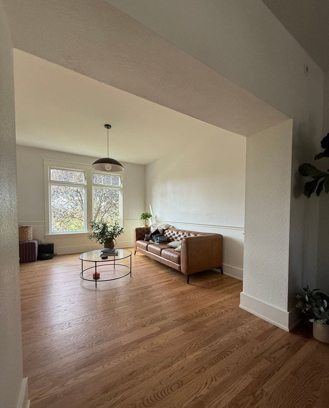 Vaulted living room with fresh neutral walls and white trim