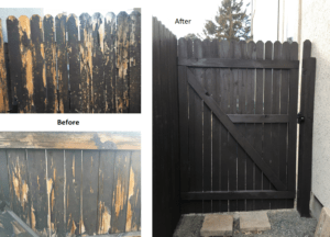 before and after picture of a fence staining project