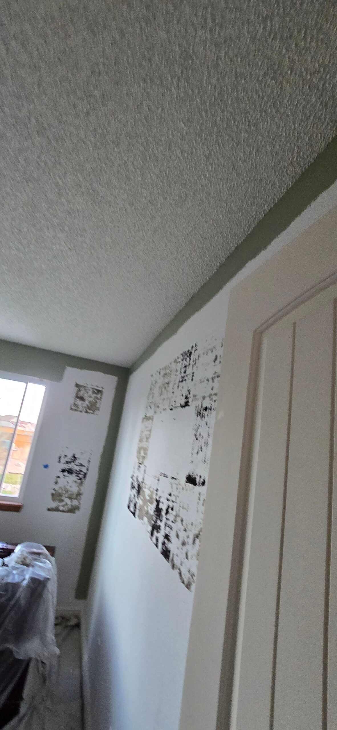 Accent Walls, Trim Painting, Texture Repair.